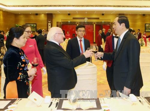 Beziehungen zwischen Vietnam und Irland entwickeln sich positiv - ảnh 1